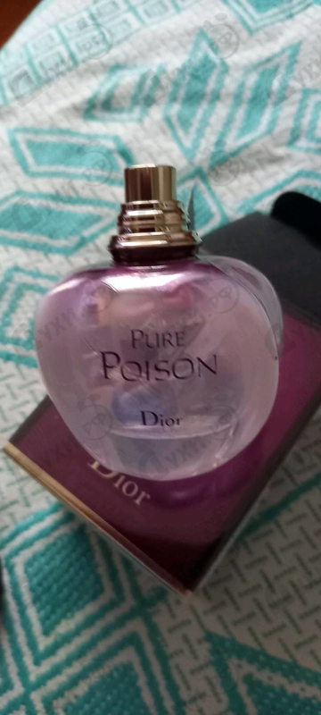 Купить Christian Dior Pure Poison