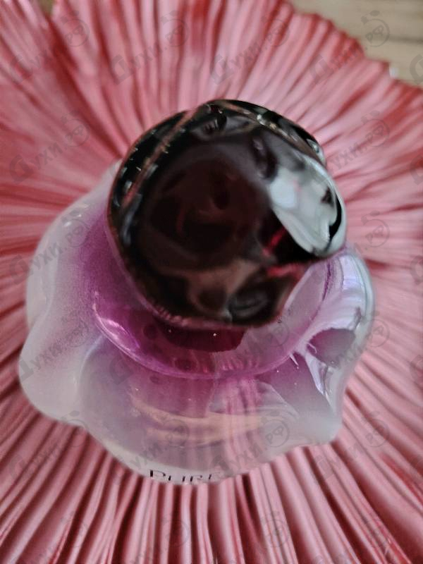 Купить Pure Poison от Christian Dior