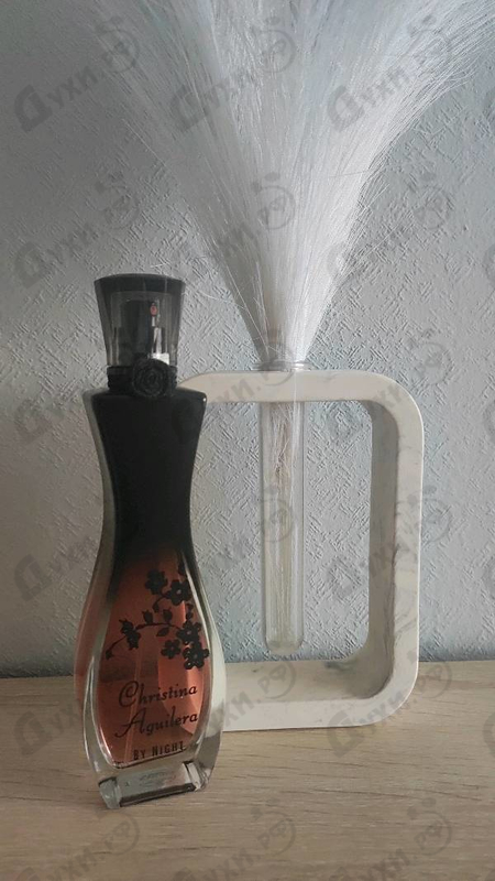 Купить Christina Aguilera By Night