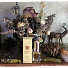 Отзыв Clinique Aromatics Elixir