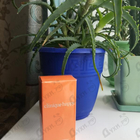 Парфюм Clinique Happy