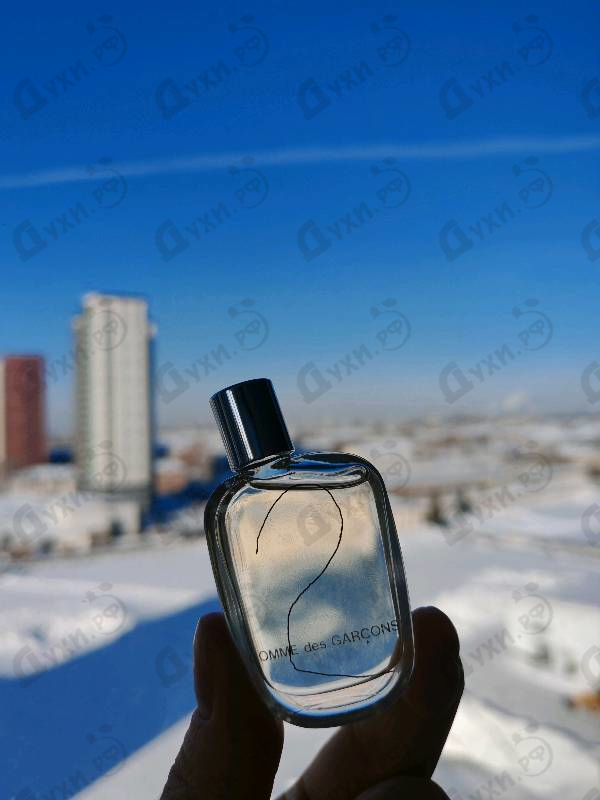 Купить 2 от Comme Des Garcons