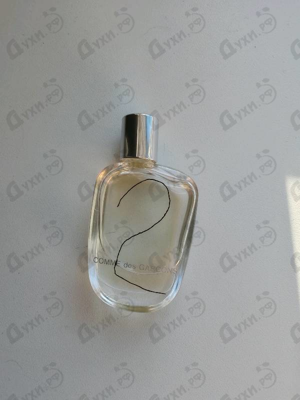 Купить 2 от Comme Des Garcons