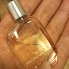 Отзывы Comme Des Garcons 2