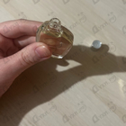 Отзывы Comme Des Garcons 2