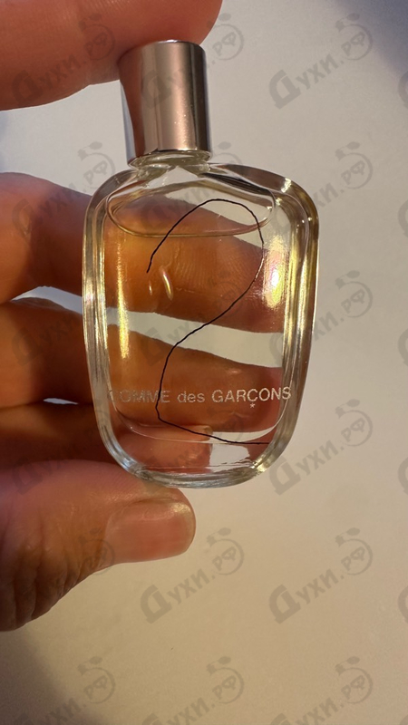 Купить Comme Des Garcons 2