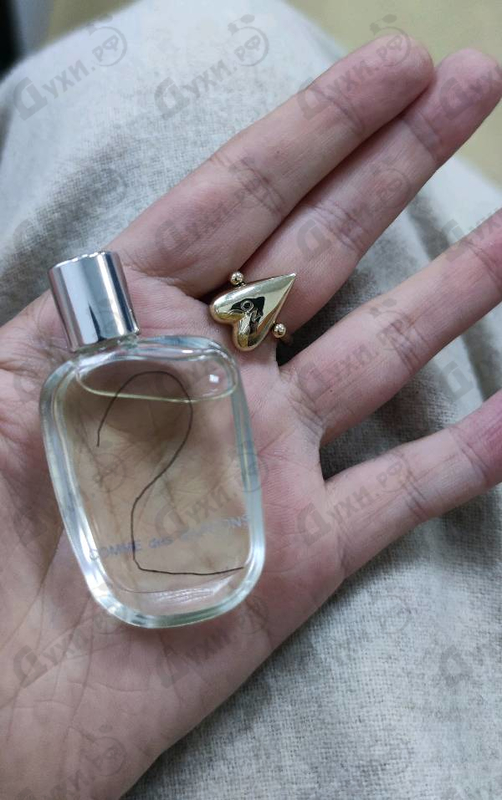 Купить 2 от Comme Des Garcons