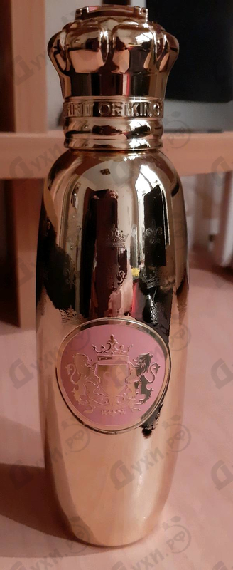 Купить Spirit Of Kings Aludra