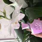 Отзывы Creed Love In White