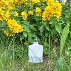 Отзыв Creed Silver Mountain Water