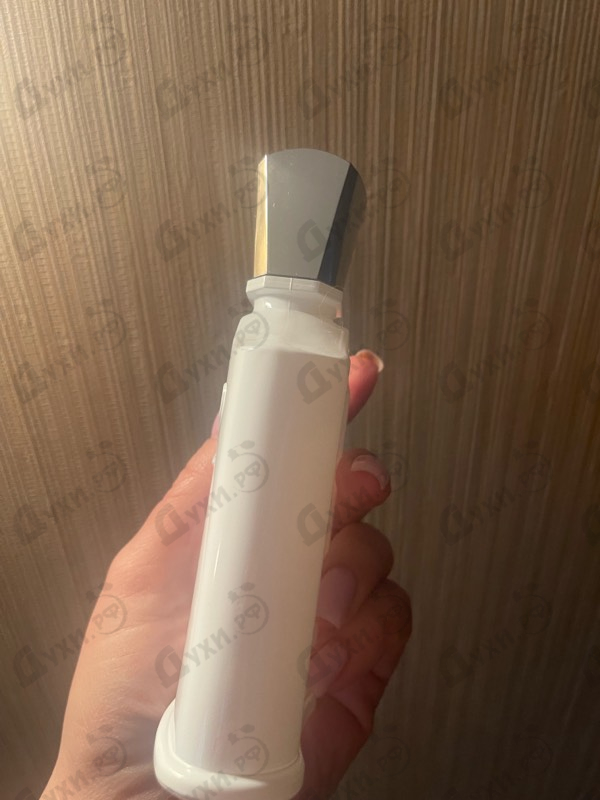 Купить Creed Silver Mountain Water