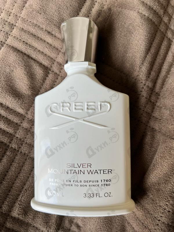 Купить Silver Mountain Water от Creed