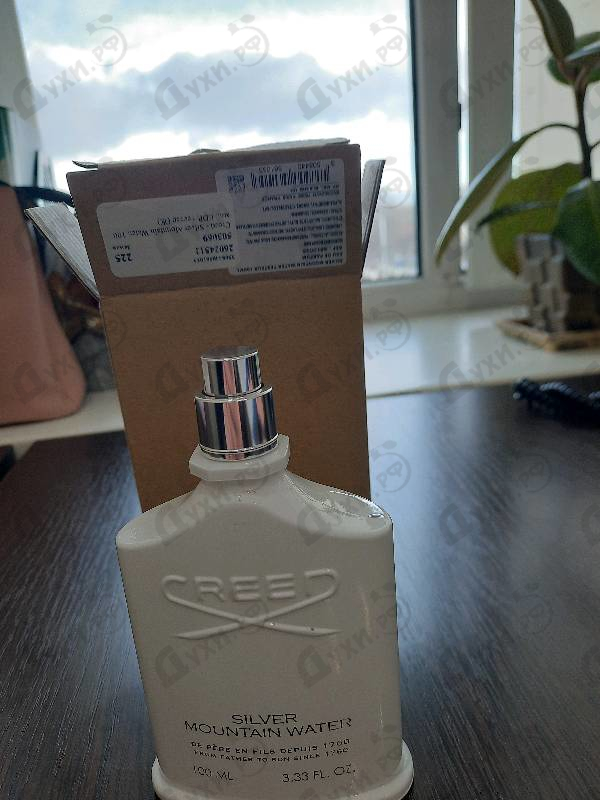 Купить Silver Mountain Water от Creed