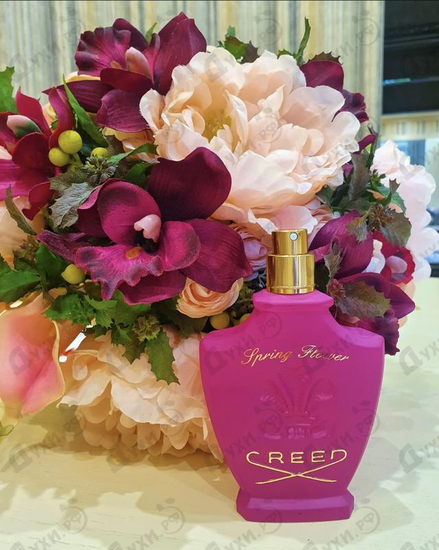 Купить Spring Flower от Creed