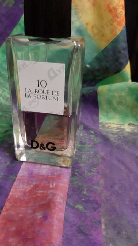 Купить 10 La Roue De La Fortune от Dolce & Gabbana