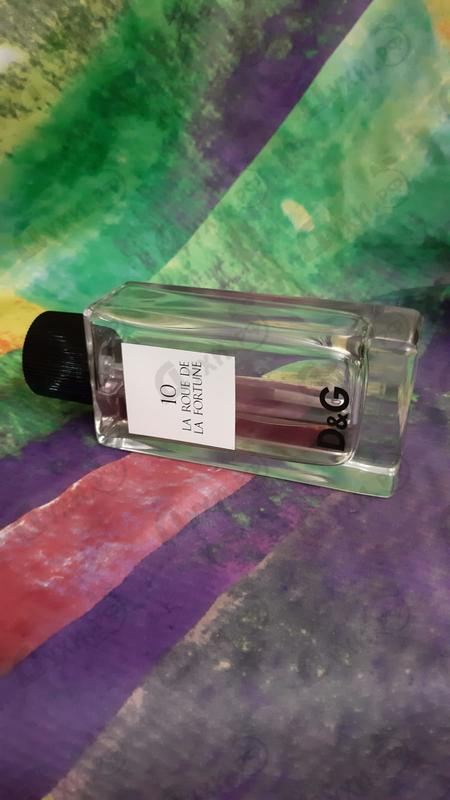 Отзывы Dolce & Gabbana 10 La Roue De La Fortune
