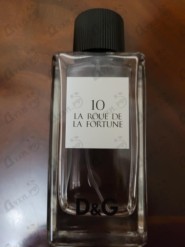 Купить 10 La Roue De La Fortune от Dolce & Gabbana