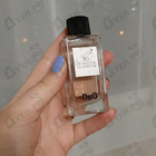 Отзывы Dolce & Gabbana 10 La Roue De La Fortune