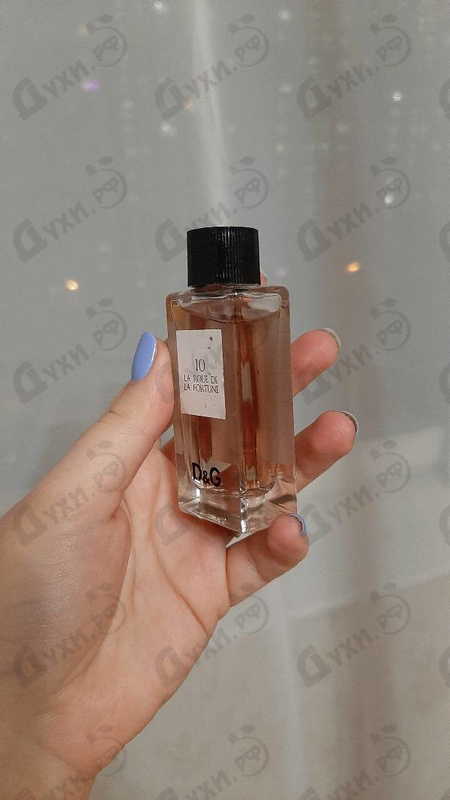 Отзыв Dolce & Gabbana 10 La Roue De La Fortune Парфюмерия 10 La Roue De La Fortune от Dolce & Gabbana