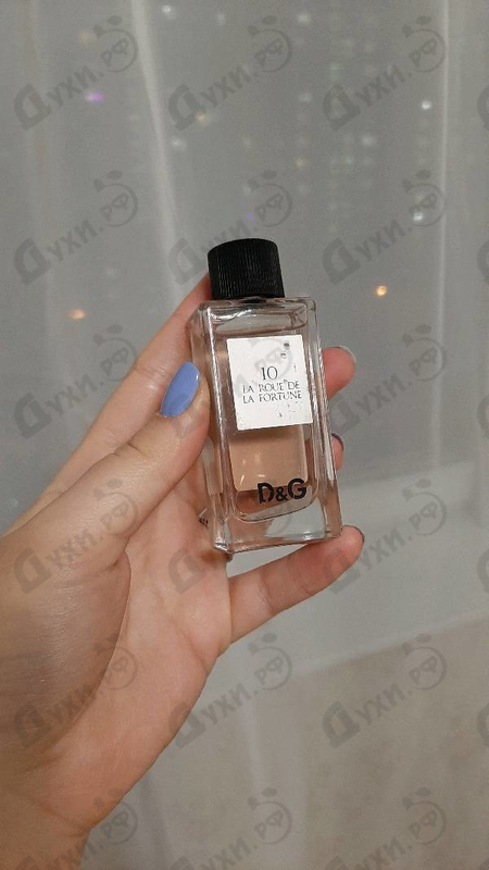 Купить 10 La Roue De La Fortune от Dolce & Gabbana