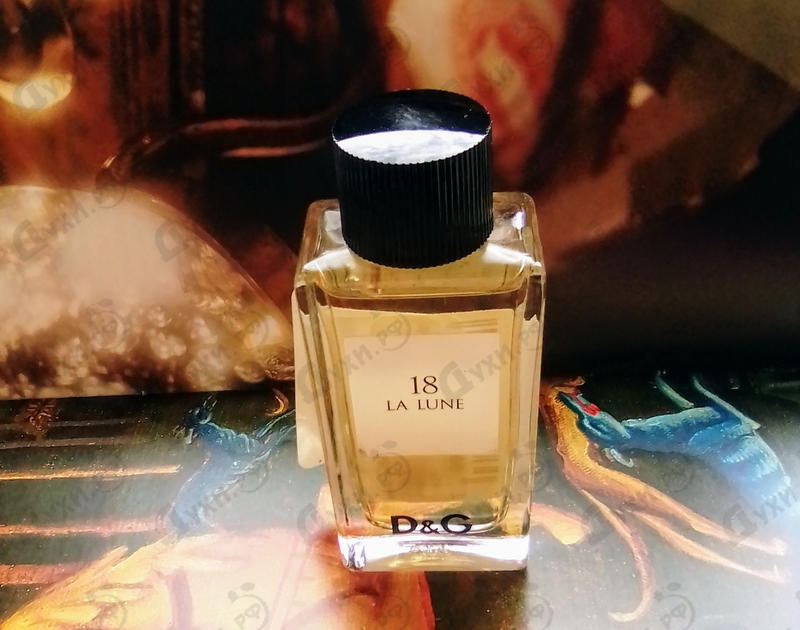 Отзывы Dolce & Gabbana 18 La Lune