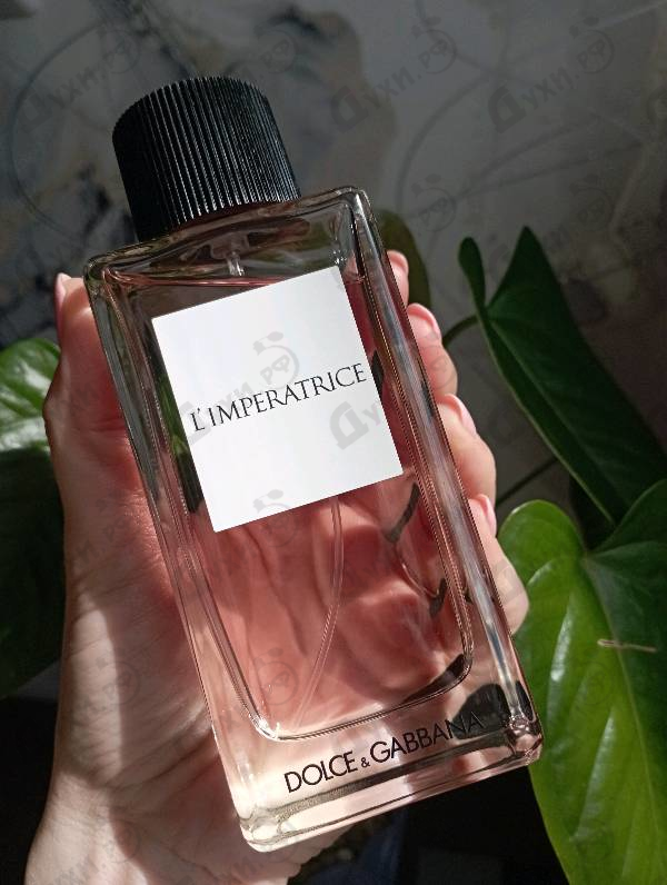 Отзыв Dolce & Gabbana 3 L'imperatrice