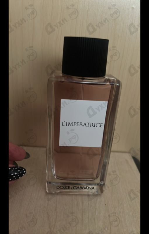 Купить 3 L'imperatrice от Dolce & Gabbana