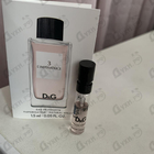 Отзыв Dolce & Gabbana 3 L'imperatrice