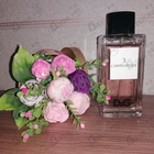 Отзывы Dolce & Gabbana 3 L'imperatrice