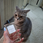Духи 3 L'imperatrice от Dolce & Gabbana