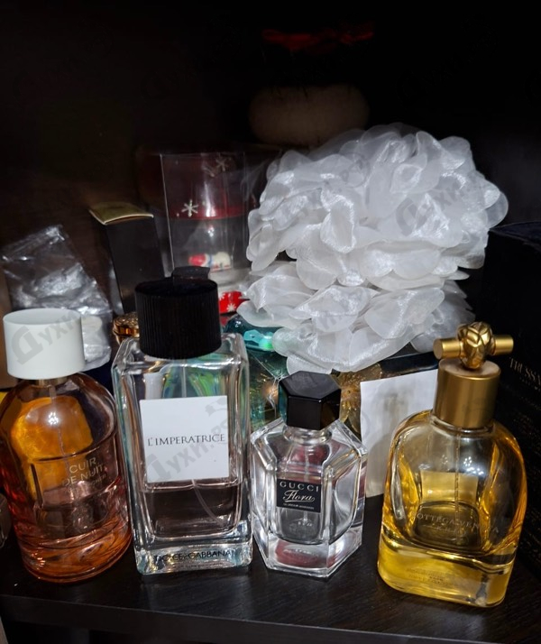 Купить 3 L'imperatrice от Dolce & Gabbana