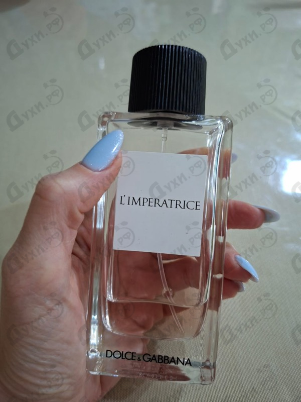 Отзывы Dolce & Gabbana 3 L'imperatrice