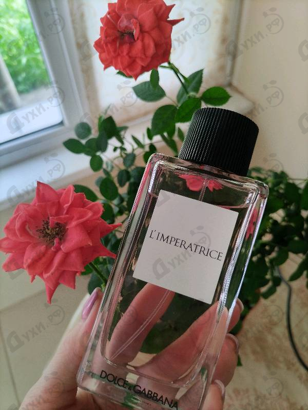 Парфюмерия 3 L'imperatrice от Dolce & Gabbana