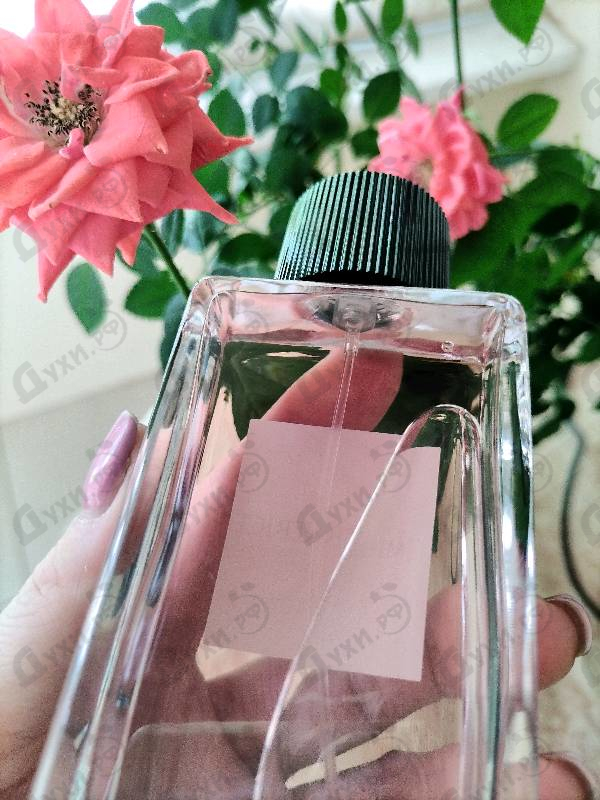 Парфюмерия 3 L'imperatrice от Dolce & Gabbana