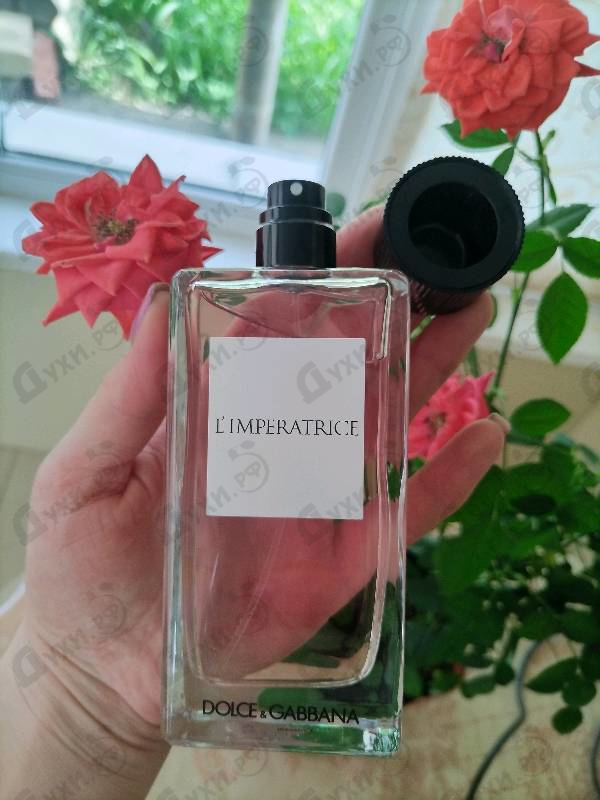 Купить 3 L'imperatrice от Dolce & Gabbana