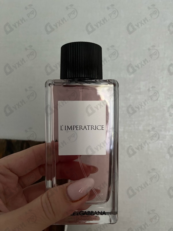 Отзывы Dolce & Gabbana 3 L'imperatrice