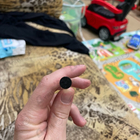 Отзыв Dolce & Gabbana 3 L'imperatrice