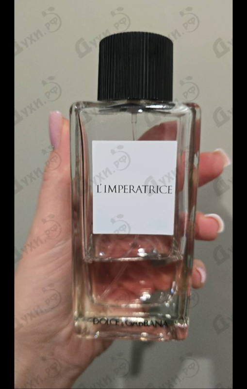 Отзывы Dolce & Gabbana 3 L'imperatrice