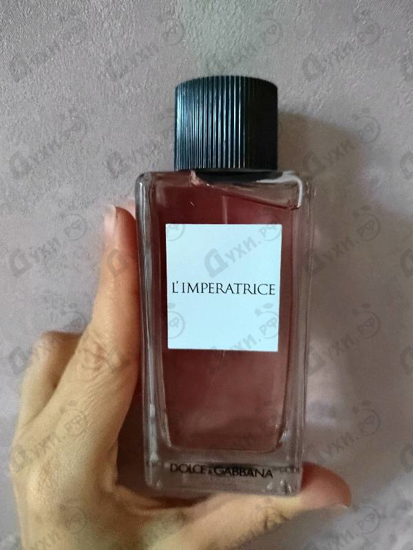 Купить 3 L'imperatrice от Dolce & Gabbana