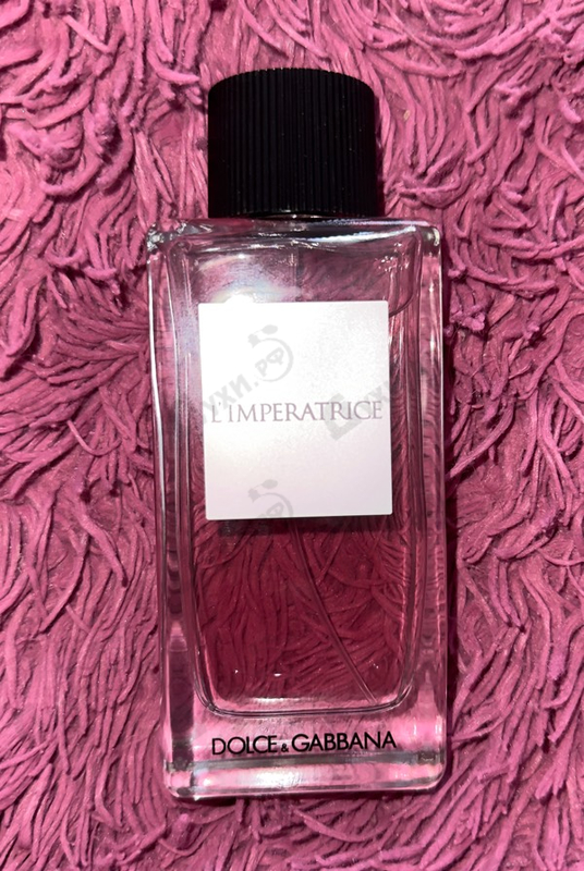 Купить 3 L'imperatrice от Dolce & Gabbana