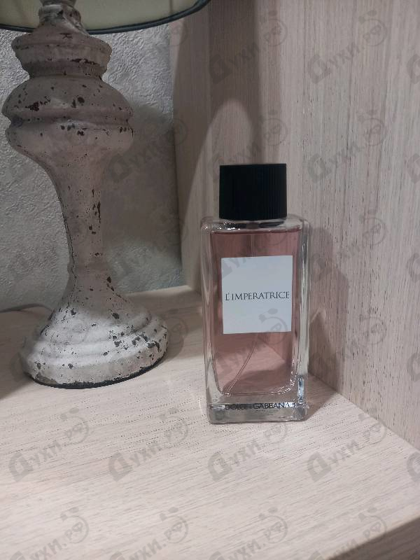 Отзывы Dolce & Gabbana 3 L'imperatrice