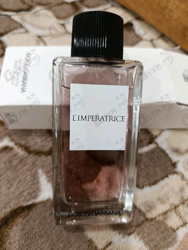 Купить 3 L'imperatrice от Dolce & Gabbana