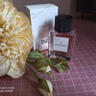 Отзывы Dolce & Gabbana 3 L'imperatrice