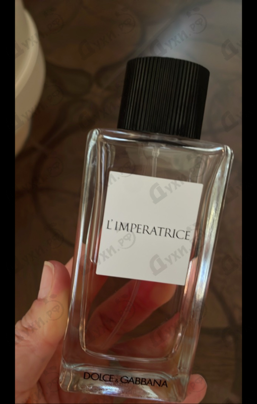 Отзыв Dolce & Gabbana 3 L'imperatrice