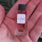 Отзыв Dolce & Gabbana 3 L'imperatrice