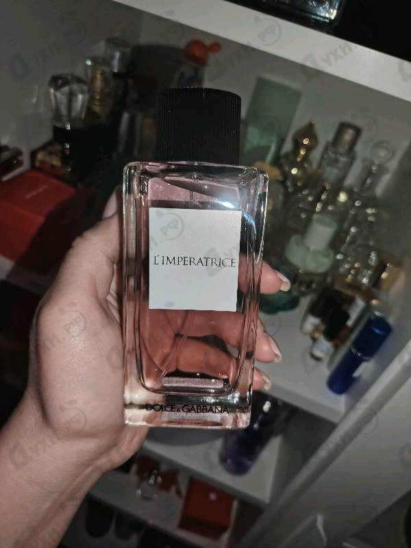 Купить 3 L'imperatrice от Dolce & Gabbana