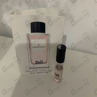 Отзыв Dolce & Gabbana 3 L'imperatrice