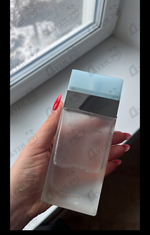 Парфюмерия Light Blue от Dolce & Gabbana