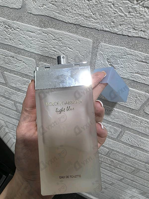 Отзыв Dolce & Gabbana Light Blue