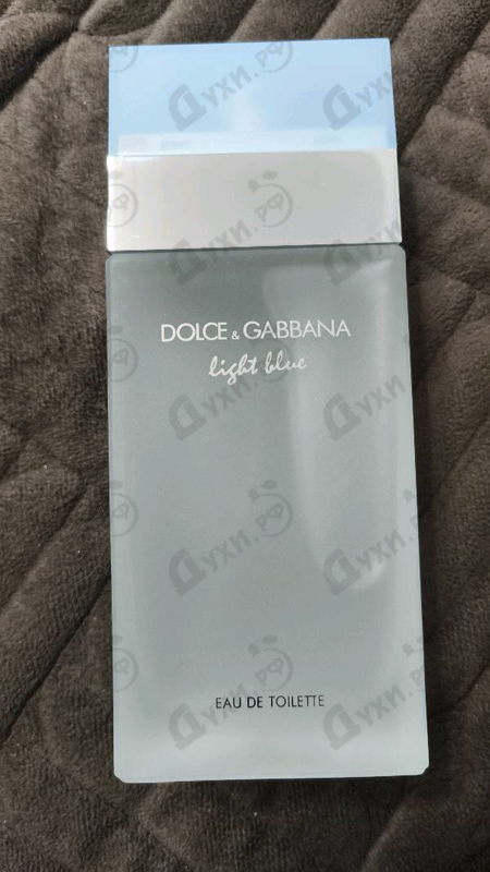 Купить Dolce & Gabbana Light Blue